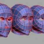 Modelos 3D: técnicas y sus aplicaciones .