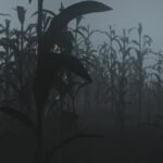 Niebla campo maiz unity