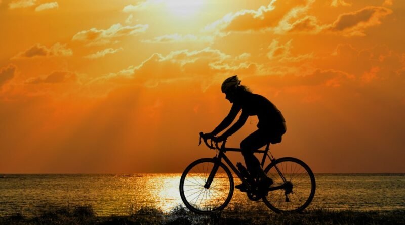 Bicicleta en el sol