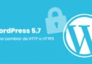 WordPress_Https