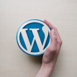WordPress, ¿Qué es y por que es tan utilizado en la actualidad?