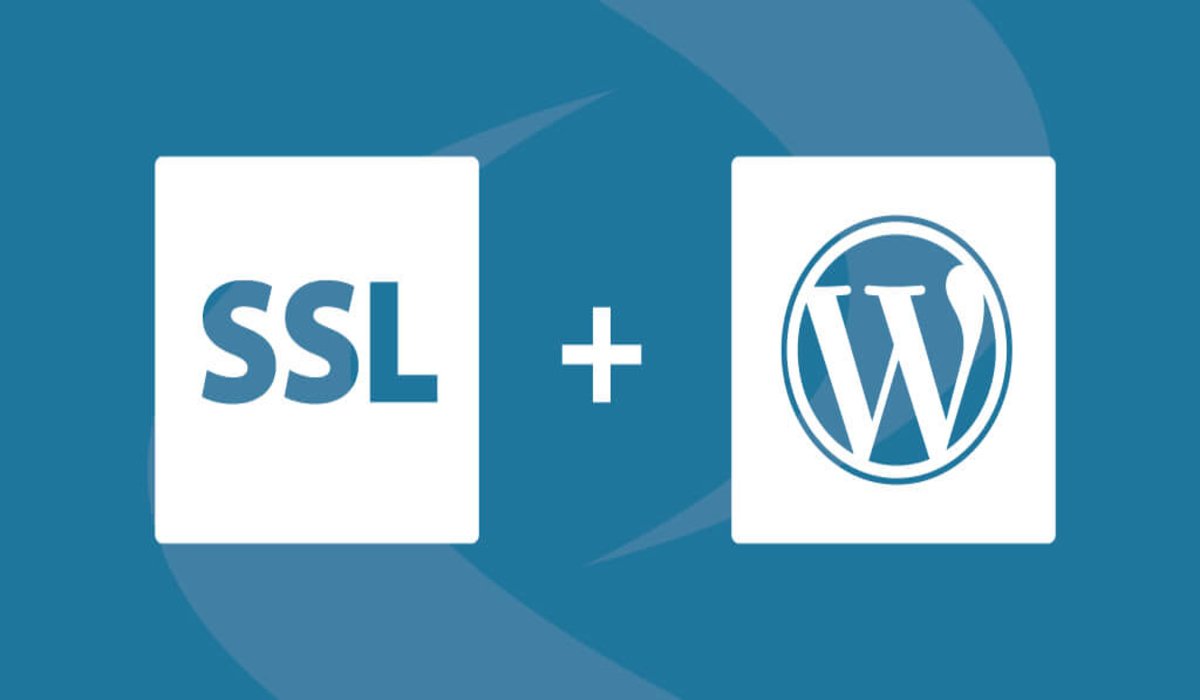 SSL en WordPress – Cómo activar el certificado SSL en WordPress