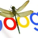 dragonflygoogle