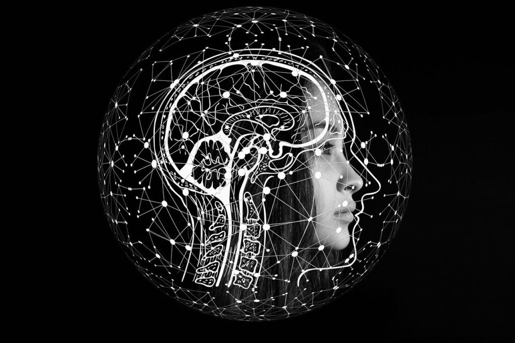 La rede neuronal y el cerebro humano