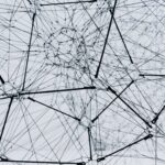 Estructuras enlazadas que representan las interacciones dentro de un sistema complejo.