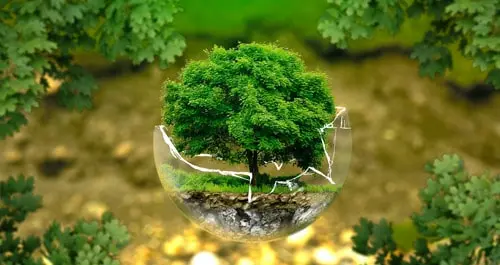 Ecosistema Sostenible