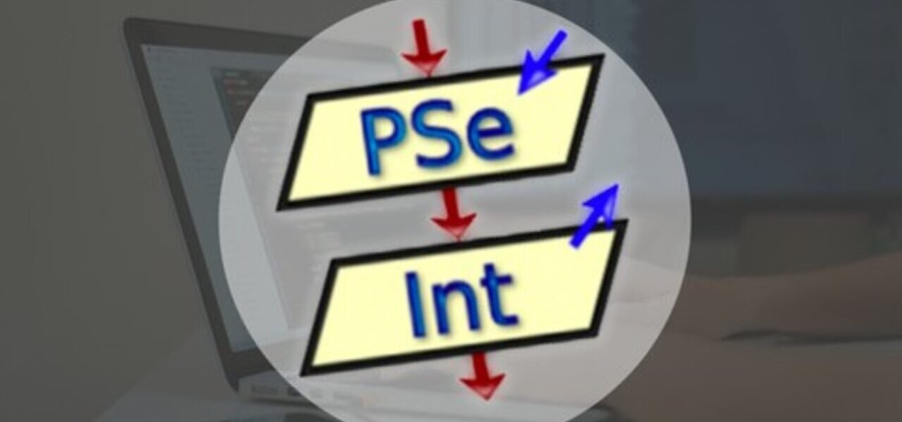 Logo Pseint