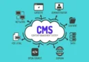 ¿Es el CMS importante para la empresa? 