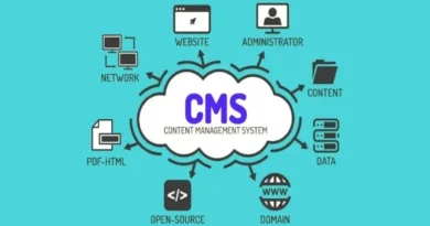 ¿Es el CMS importante para la empresa? 