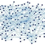 Teoría de los grafos ¿Se relaciona con la TGS? 