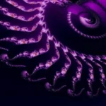 Relación de un Sistema y caos Fractal