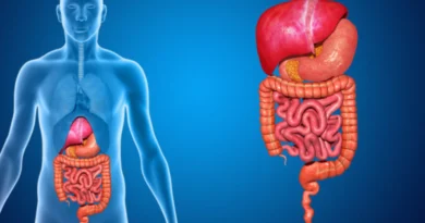 Sistema digestivo humano analizado desde la TGS