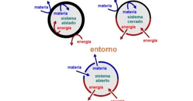 La Teoría General de los Sistemas Abiertos de Bertalanffy: Aplicaciones en Física y Biología