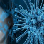 Homeostasis Claude Bernard VIRUS HOMEOSTASIS