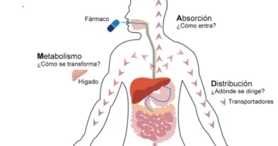 Teoría de los Compartimientos