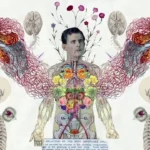 LA AUTOPOIESIS Y LA TEORÍA GENERAL DE SISTEMAS (TGS) LA AUTOPOIESIS Y LA TEORÍA GENERAL DE SISTEMAS (TGS)