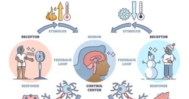 Teoría  Homeostasis 