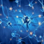 Teoría de los Sistemas Adaptativos Complejos