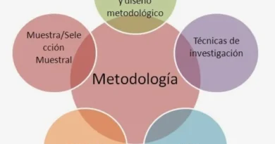 Diagrama descriptivo de la metodología en la investigación cualitativa.