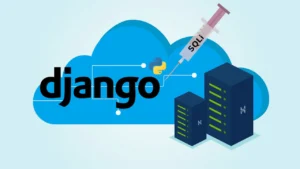 Logo Django