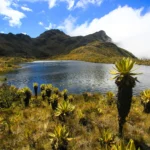 Importancia de los páramos: recorrido 360° del páramo El Verjón