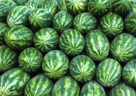 Imagen de referencia 2