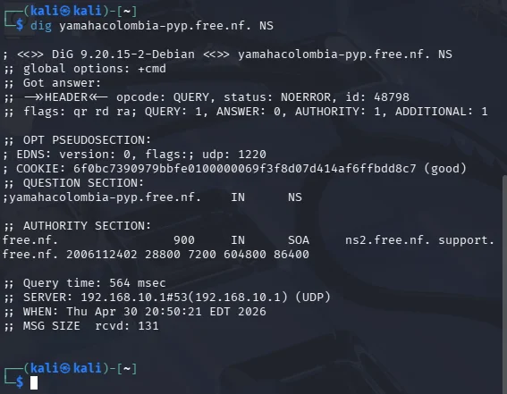 Consulta DNS NS