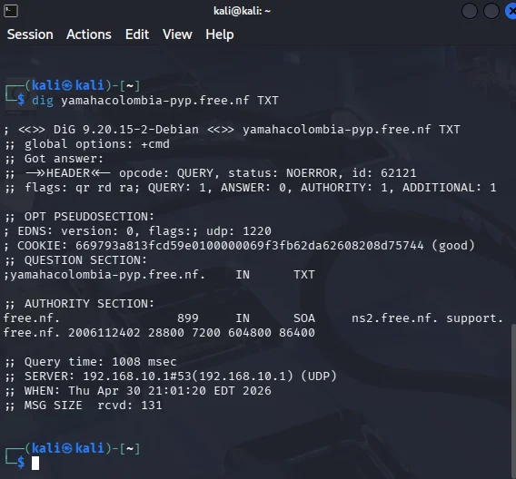 Consulta DNS TXT