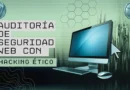 Auditoria de seguridad web