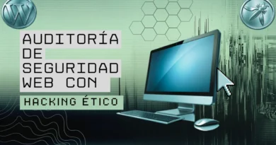 Auditoria de seguridad web