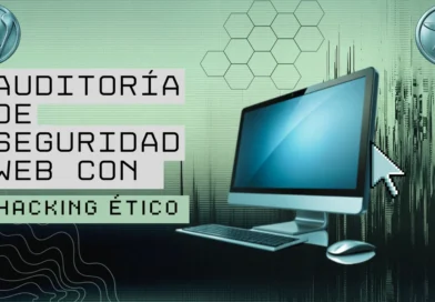 Auditoria de seguridad web