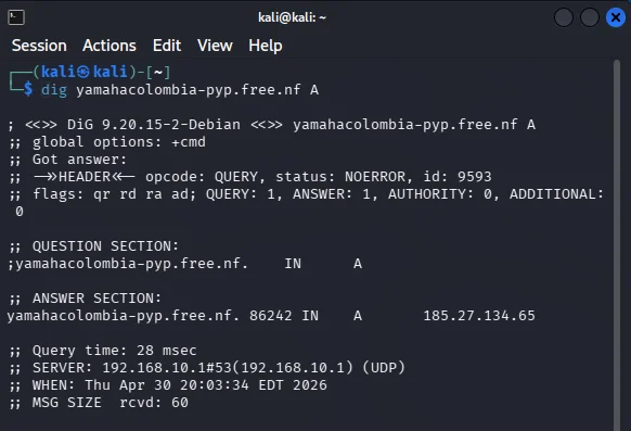 Consulta DNS A

