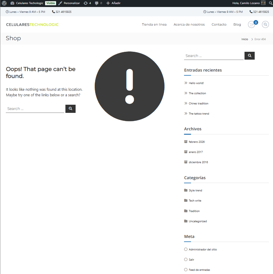 Error 404 al intentar acceder al archivo debug.log