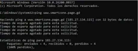 Resultado del comando PING en pentesting web