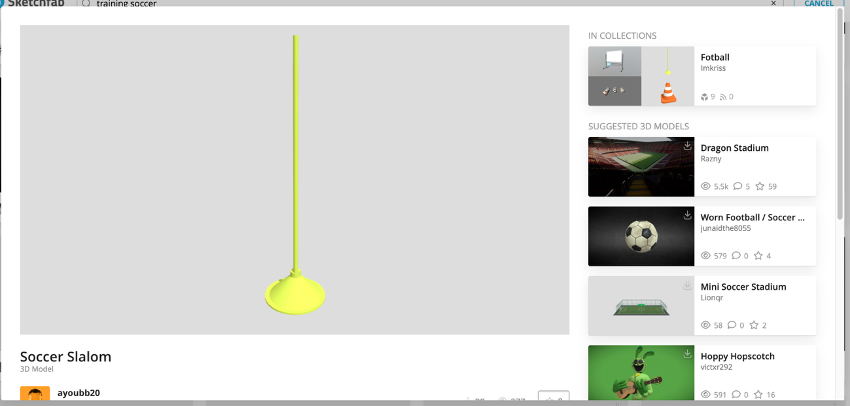 Slaloms de entrenamiento posicionados en el campo de la cinemática