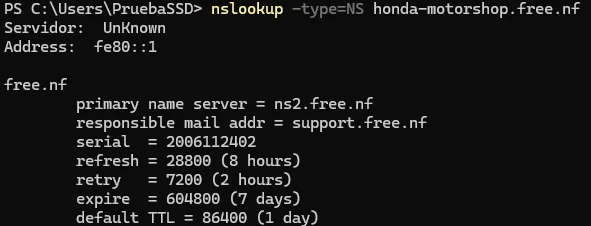 Consulta tipo NS mostrando el servidor de nombres ns2.free.nf