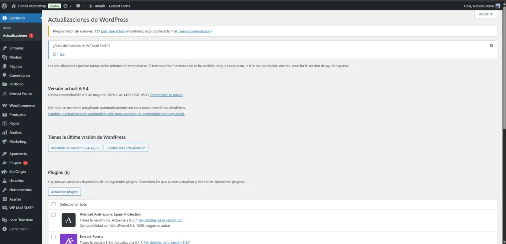 Panel de actualizaciones de WordPress mostrando la versión actual 6.9.4 como la más reciente, con 6 plugins pendientes de actualización: Akismet Anti-spam, Everest Forms, Loco Translate, Page Builder by SiteOrigin, WooCommerce y WP Mail SMTP