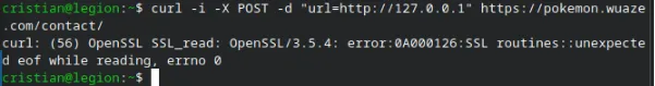 OWASP_A10 