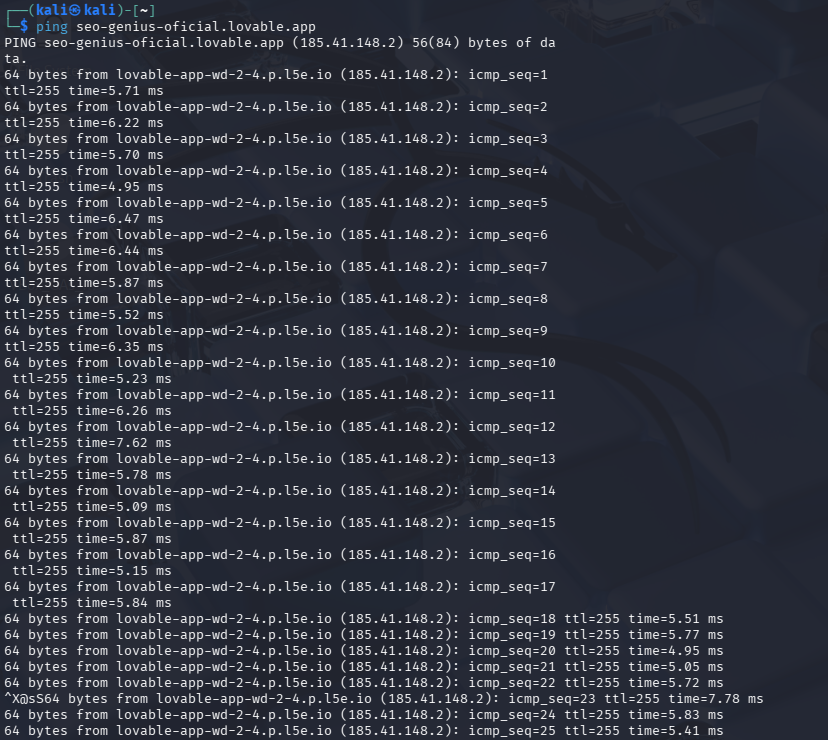 Ping a la app. Para una página SEO hecha con Vibe Coding con Inteligencia Artificial