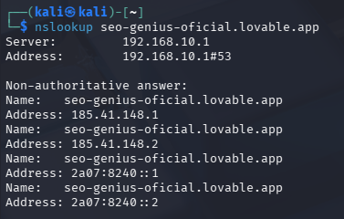 Consultas DNS con Nslookup. Para una página SEO hecha con Vibe Coding con Inteligencia Artificial