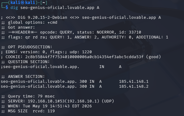 Consulta del registro A. Para una página SEO hecha con Vibe Coding con Inteligencia Artificial