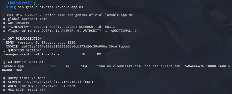 Consulta del registro MX del dominio. Para una página SEO hecha con Vibe Coding con Inteligencia Artificial