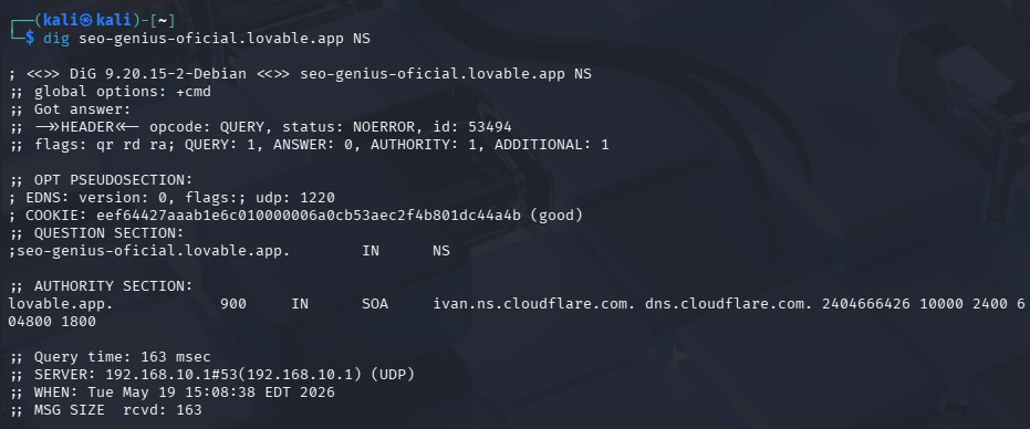 Consulta del registro NS del dominio. Para una página SEO hecha con Vibe Coding con Inteligencia Artificial