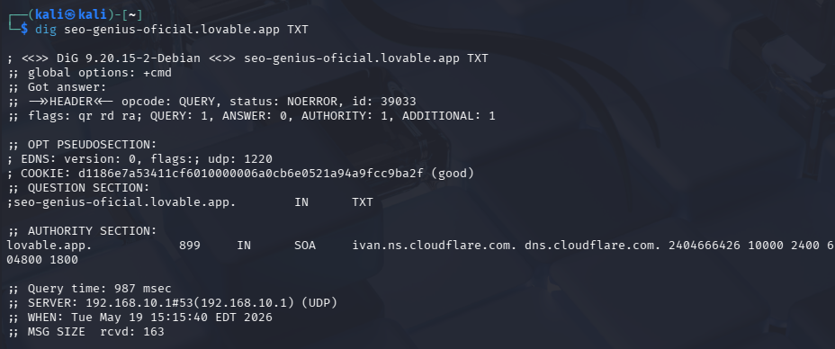 Consulta del registro TXT del dominio. Para una página SEO hecha con Vibe Coding con Inteligencia Artificial