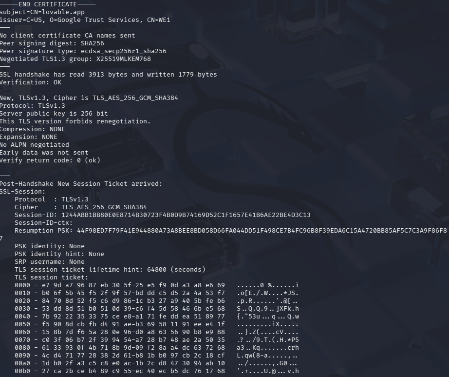 TLS Version. Para una página SEO hecha con Vibe Coding con Inteligencia Artificial